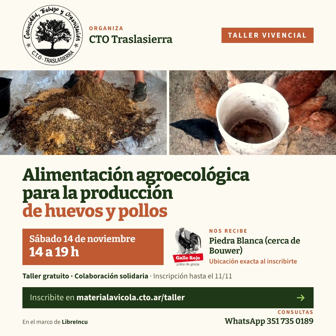 Flyer del taller vivencial Alimentación agroecológica para la producción de huevos y pollos. Organiza CTO Traslasierra. Sábado 14 de noviembre de 14 a 19 h. Nos recibe la Cooperativa Gallo Rojo, en Piedra Blanca, cerca de Bouwer. Taller gratuito, colaboración solidaria, inscripción obligatoria hasta el 11/11.